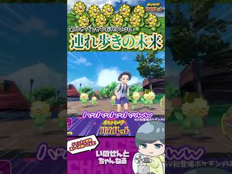 【賑やか】ジムテストのキマワリ連れ歩きが割と楽しい【ポケモンスカーレット・バイオレット】#Shorts