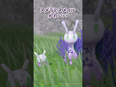 ヌメラ達かわいい #ポケモンSV #Goomy #Sliggoo #Short #Shorts