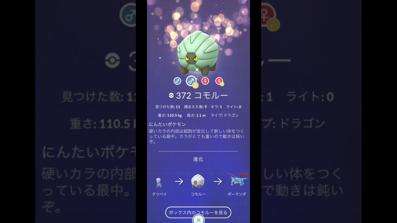 タツベイからの〜(コモルーだけダサい…)【色違い】ダイパ