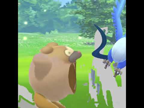 れいとうビームを覚えるビッパ【2021.6.29UP】