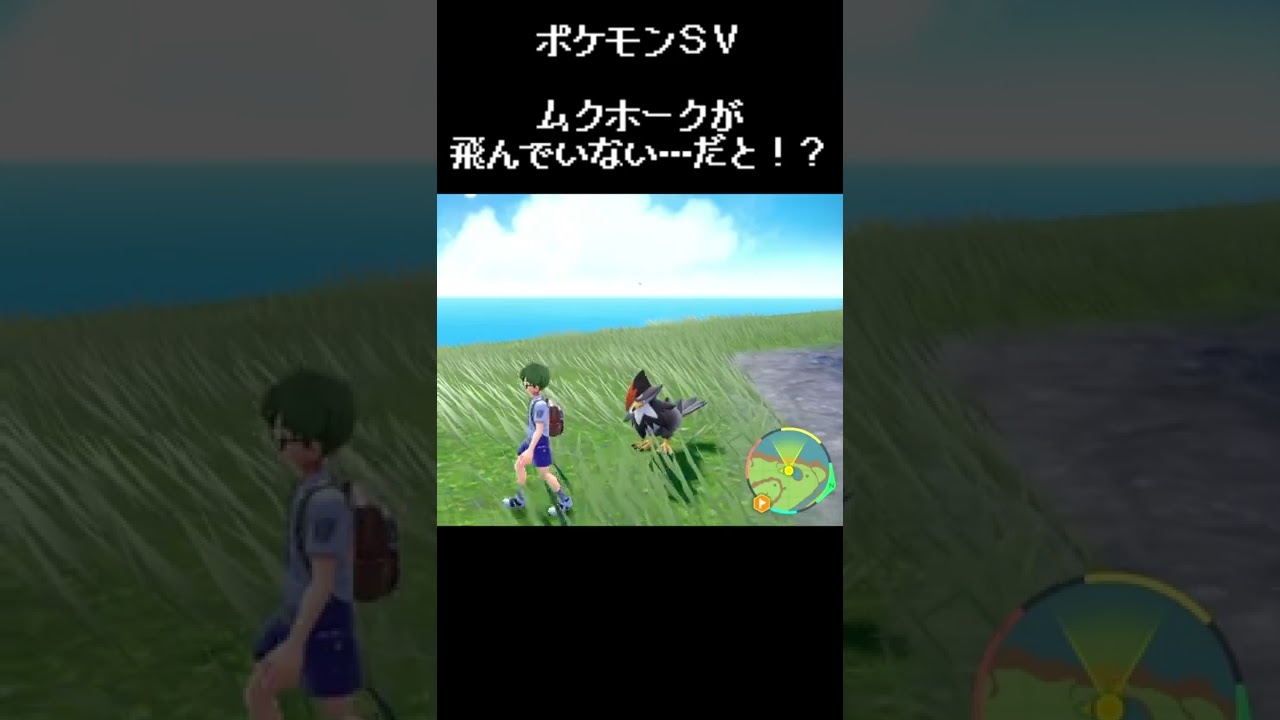 【ポケモンSV】野生のムクホークとお散歩ぶちかます転入生 #short #pokemon