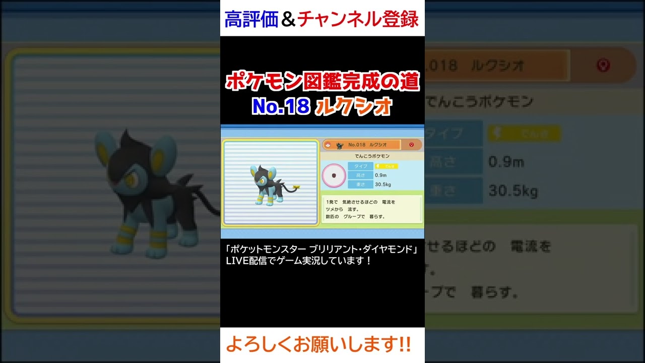 No.18 ルクシオ図鑑登録完了！【ポケモンBDSP】