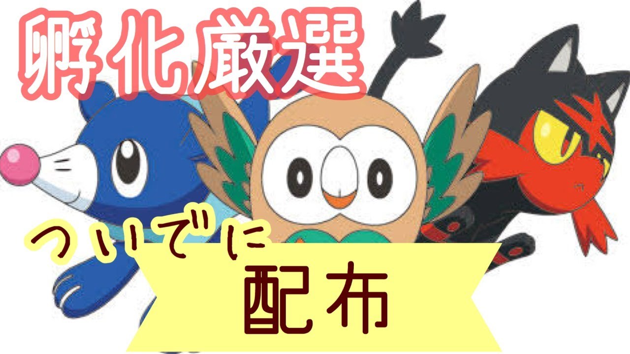 アシマリ、ニャビー、モクロー孵化厳選と配布