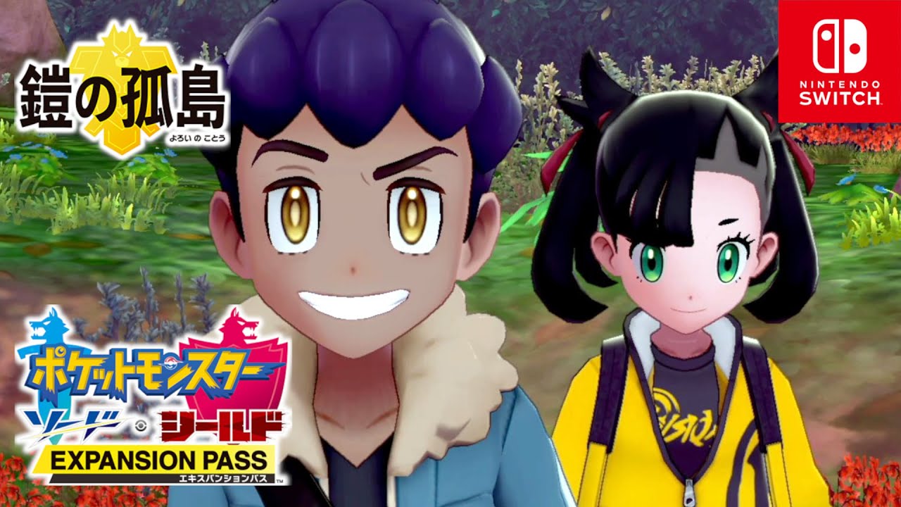 【ポケモン剣盾】鎧の孤島 ホップとダイミツ探し～ビークインのマックスレイドバトル エキスパンションパス【ポケモンソードシールド】