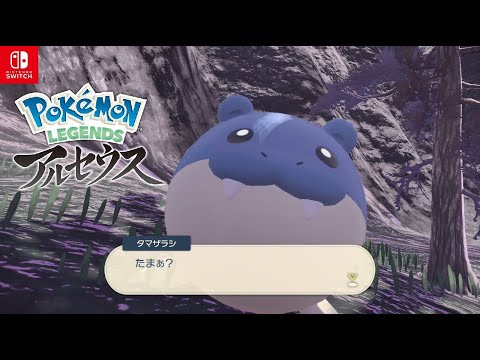 【ポケモンレジェンズアルセウス】ころころタマザラシ サブ任務87【Pokemon LEGENDS アルセウス/Switch】