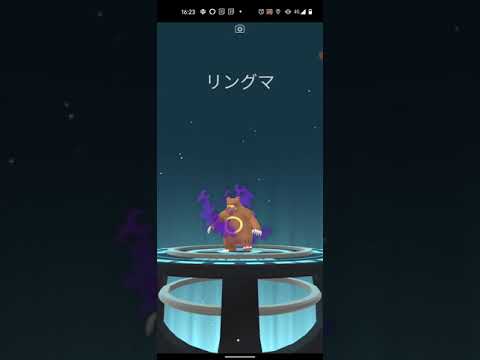 【ポケモンGO】しゃどうヒメグマを進化してリトレーンしただけの動画