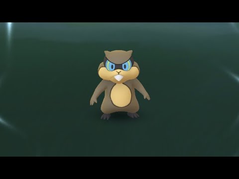 【Pokémon GO】Shiny Patrat GET✨②