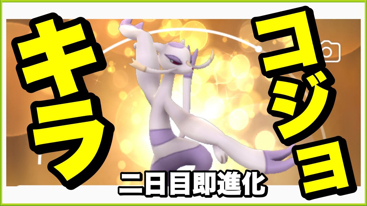 【実装二日目】コジョフーさんをキラ化してコジョンドさんに進化させてみた【ポケモンGO】250