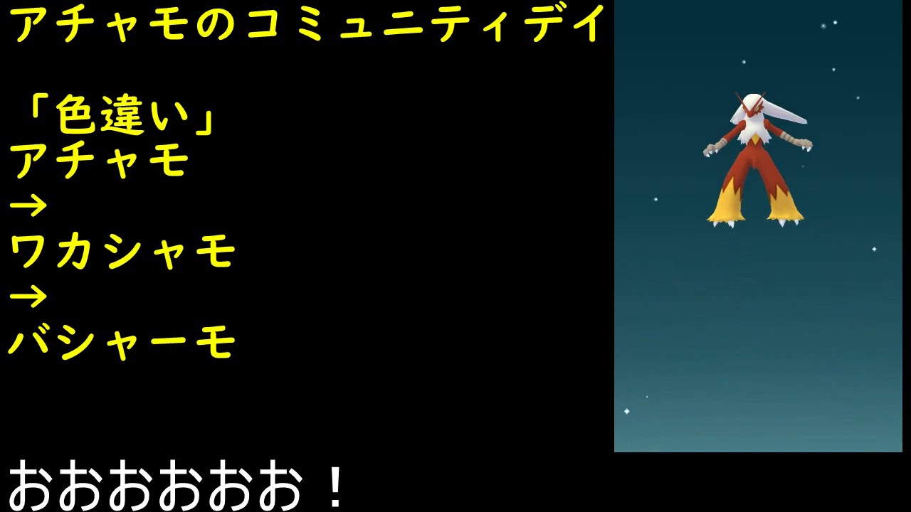 色違いアチャモ進化ワカシャモ進化バシャーモ【ポケモンGO】