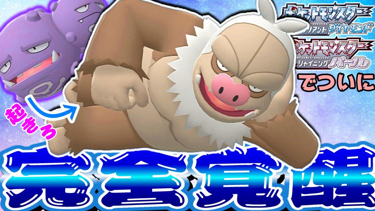 【BDSP】ドガスの力で遂になまけを完全脱却したケッキングが止まらないｗｗｗｗｗ【ダイパリメイク】