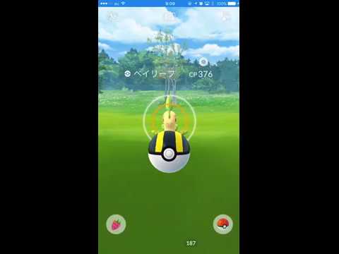 【Pokémon GO Excellent Throw】153 ベイリーフ (Bayleef)