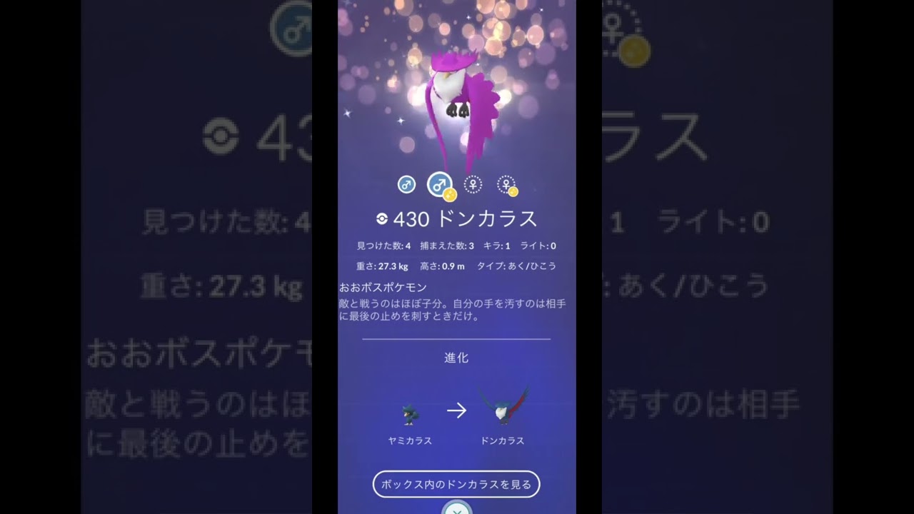 ヤミカラス色違い/ムウマ色違いからの〜【色違いポケモン】ダイパリメイク