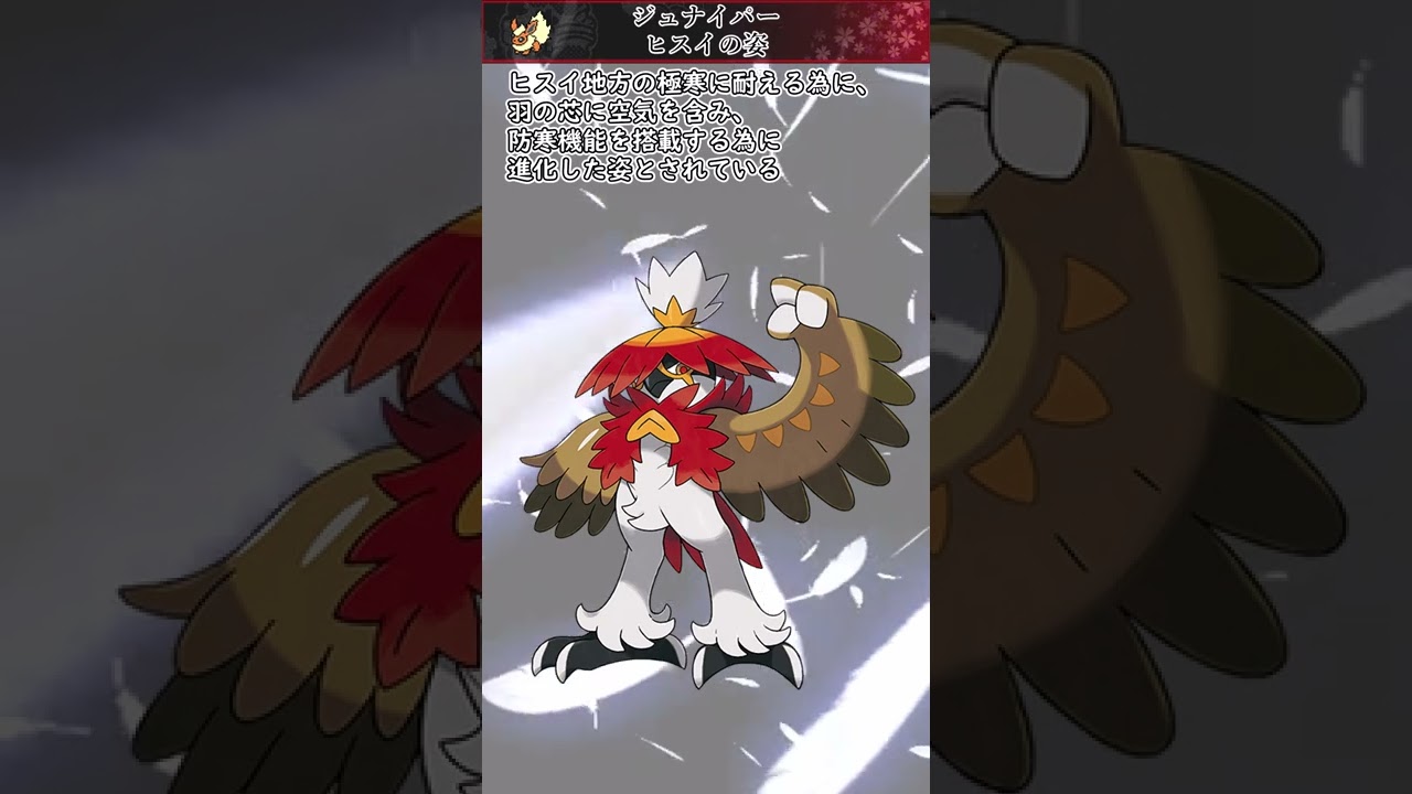 【ポケモン】20秒で分かるジュナイパー(ヒスイの姿)【ゆっくり解説】#Shorts