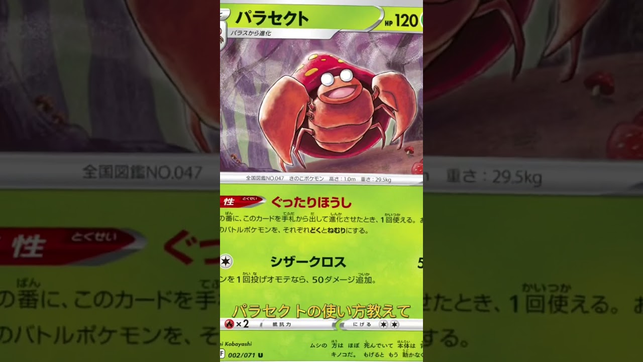【ポケカ】ネッコアラと使う?