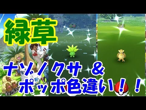【ポケモンGO】ナゾノクサそしてついにポッポもゲット＆進化させました！！【無課金】