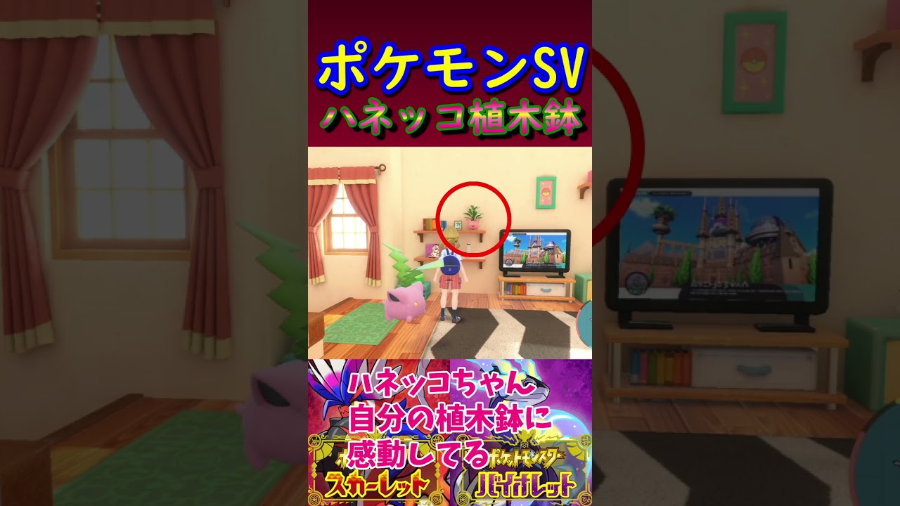 【ポケモンSV】ハネッコちゃんが自分の植木鉢より大切なものは？ #Shorts