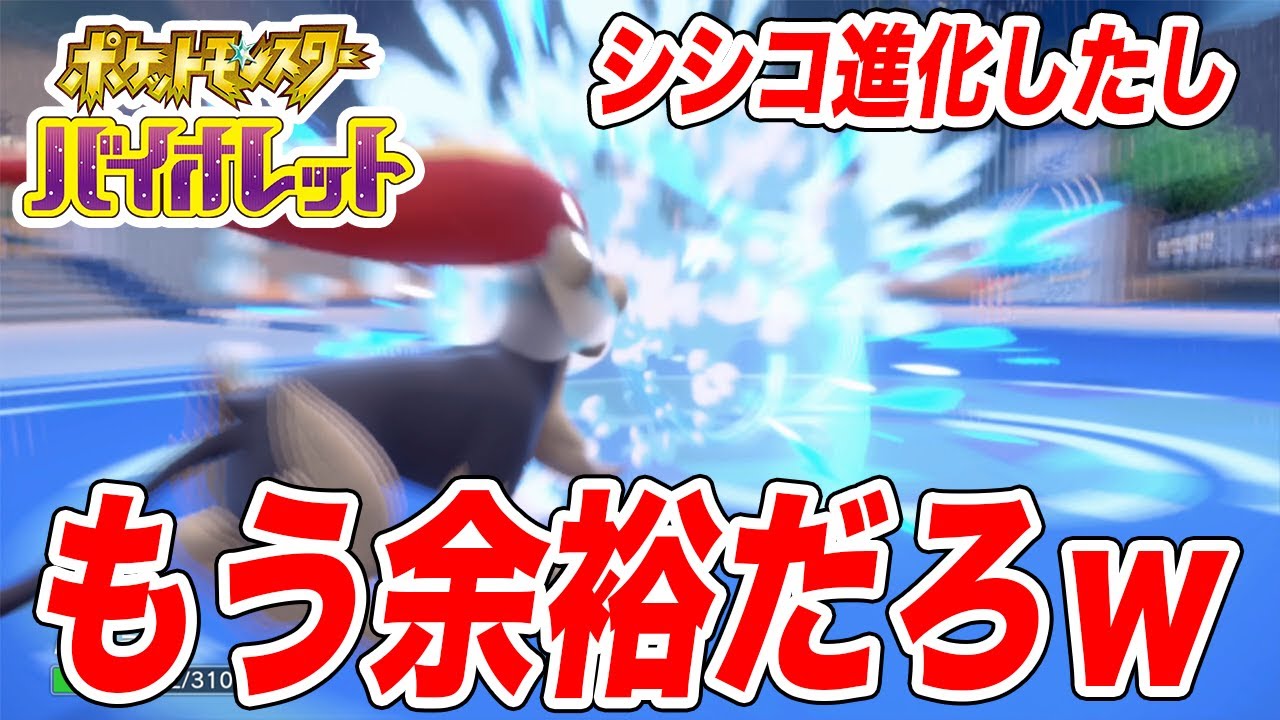 【ポケモンSV】シシコもカエンジシに進化したし今更ハイダイなんて余裕だろ…ｗ【スカーレットバイオレット/強化ジムリーダー編】