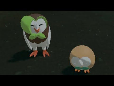 寝てるモクローを笑うフクスロー