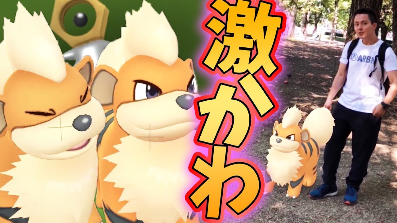 ポケモンGO！色違いガーディを見つけるまで帰れま10？のはずが！【PokemonGO】
