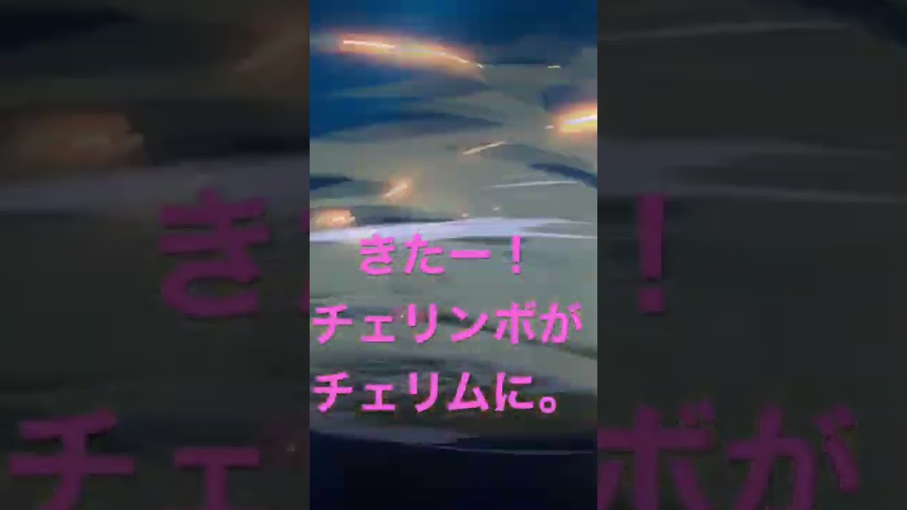 きたー、チェリンボがチェリムに進化！【pokemonLEGENDSアルセウス】【shorts】