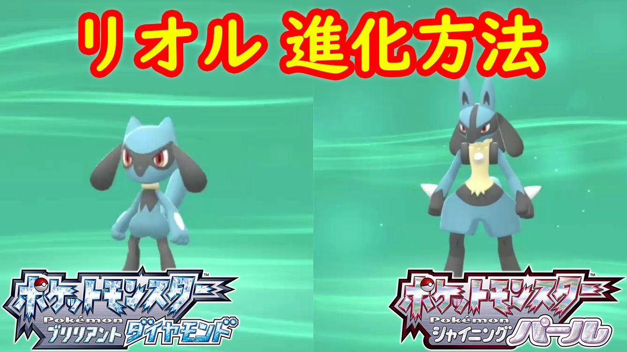 【リオル → ルカリオ】特殊進化方法（なつき度） + 時間 攻略  【ポケモン ダイパリメイク ポケモン ブリリアントダイヤモンド・シャイニングパール】