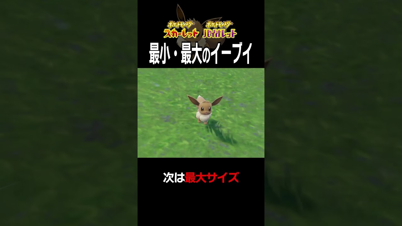 【大きさ比較】イーブイ編【ポケモンSV】#Shorts