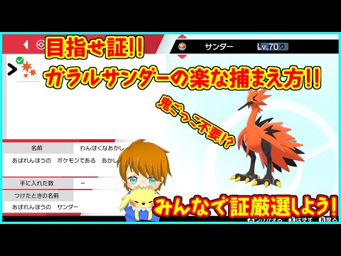 【冠の雪原】目指せ証！！ガラルサンダーの楽な捕まえ方！！【ポケモン剣盾】