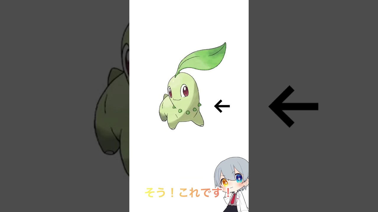チコリータを書いたつもりが‥#shorts