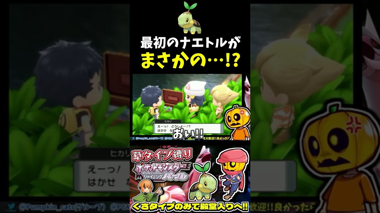 【ポケモンBDSP】最初の御三家でナエトルを選んだらまさかの個体!?くさタイプ縛り攻略開始!!【ダイパリメイク】【ポケモン】【シャイニングパール】【配信切り抜き】【ストーリー実況】#shorts