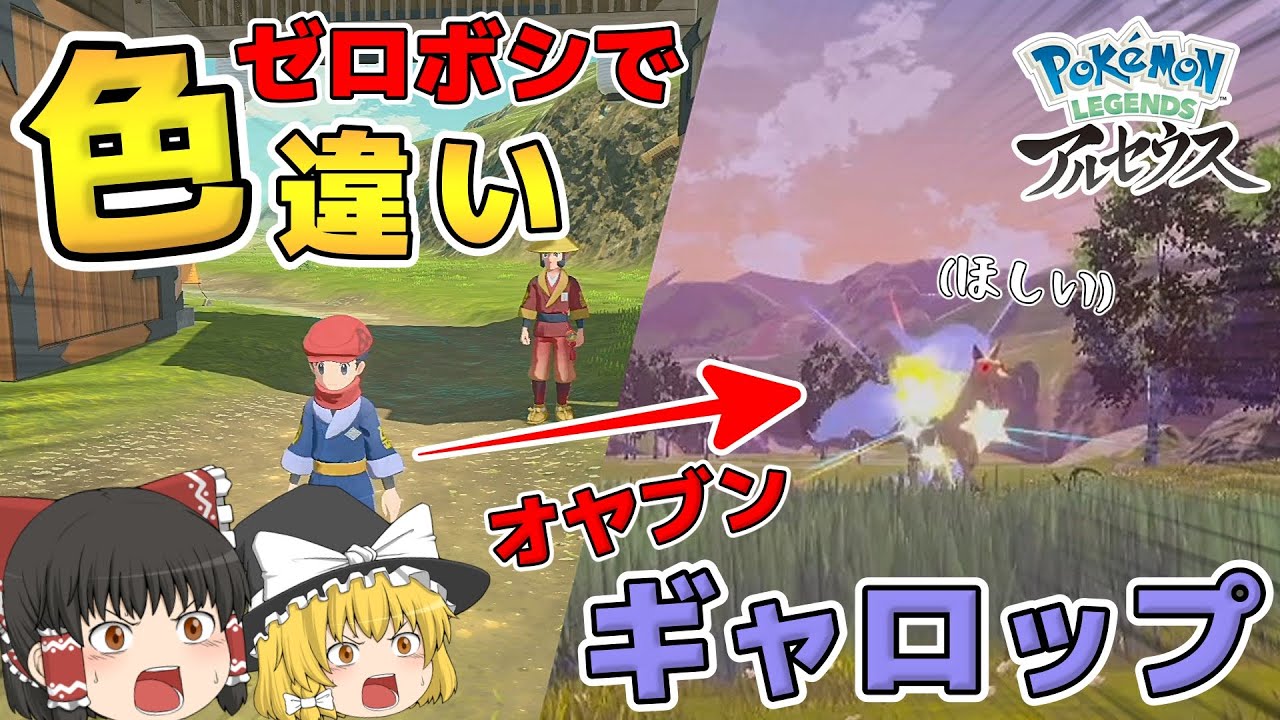 最初のゼロボシの状態で色違い親分ギャロップが欲しい！！！【レジェンズアルセウス】【ゆっくり実況】