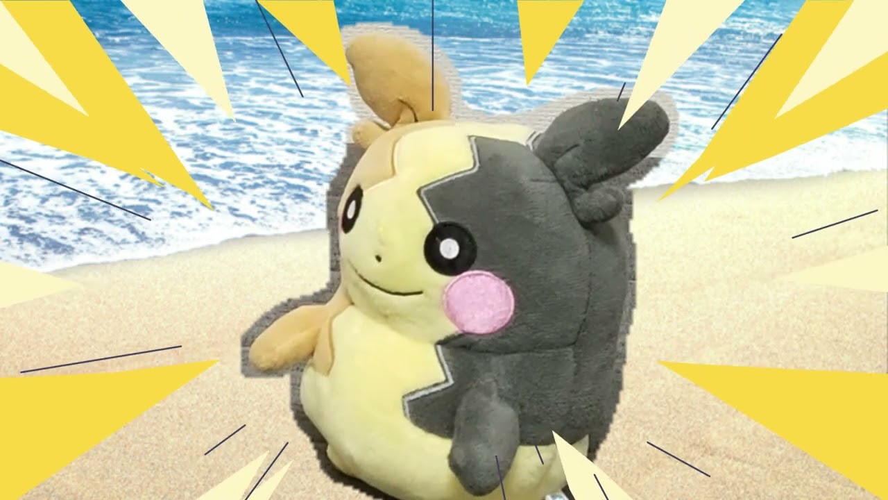 【Fight! Dedenne boy】がんばれ！デデンネくん第1話「みんなもそうだよ」