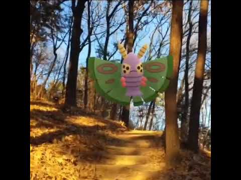 독케일 ( Dustox ) ドクケイル ( 毒粉蛾 )