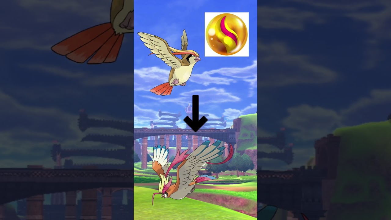 Ｎｏ．0018 メガピジョット【ポケモン図鑑】 #shorts   #ポケモン　#pokemon