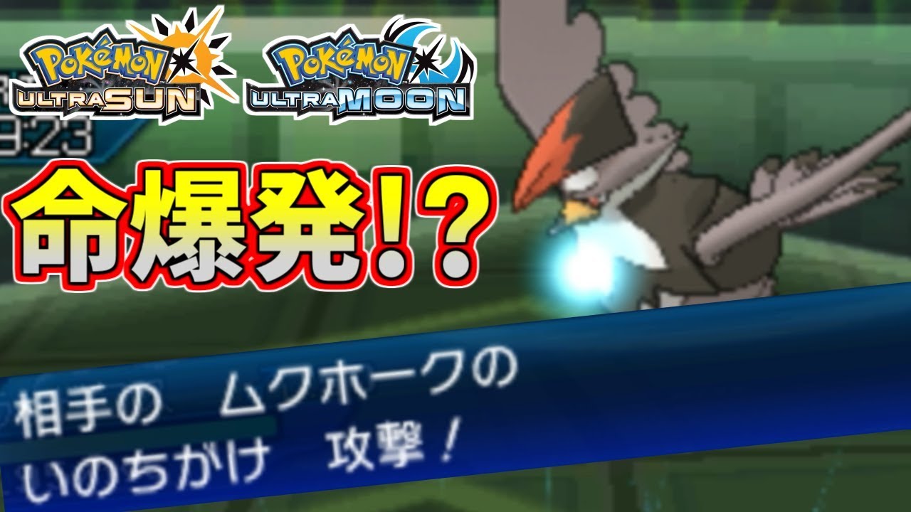 【ポケモンUSUM】命は大切にしよう…命爆発型ムクホークに大苦戦【ウルトラサン/ウルトラムーン】