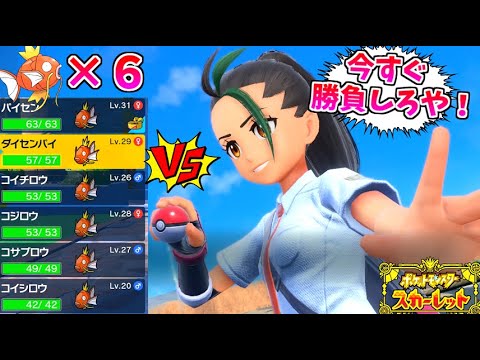 手持ちがコイキングしかいない状況で、ネモとの強制戦闘始まって草 #９【ポケモンスカーレット】