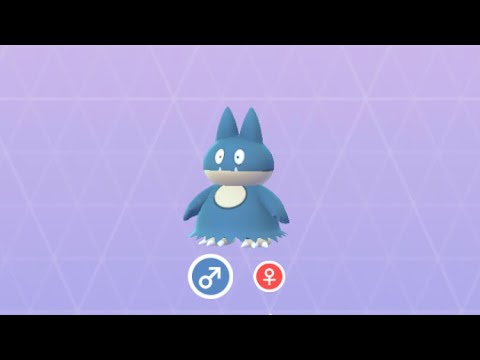 Pokémon GO 446 ゴンベ