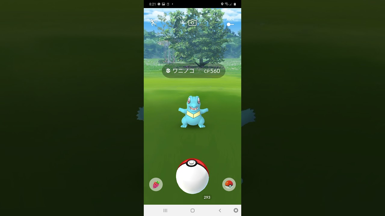 ワニノコが手をフリフリするだけ