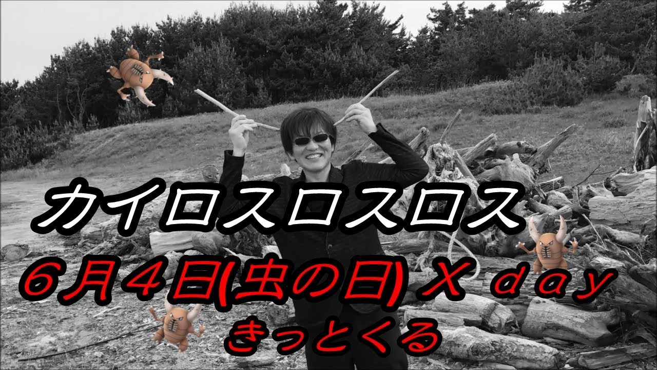 【6/4は】カイロスロスロス【虫の日】