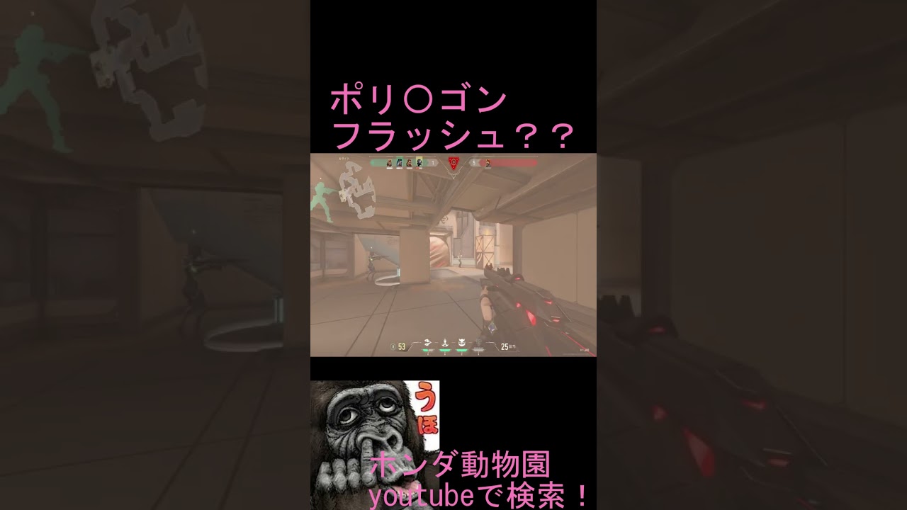 ポリゴンフラッシュ？？