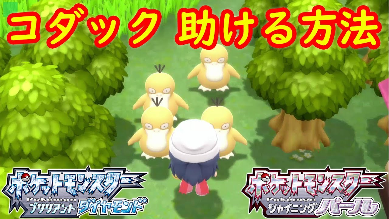 【210番道路 コダック】助けてどいてもらう方法 攻略  【ポケモン ダイパリメイク ポケモン ブリリアントダイヤモンド・シャイニングパール】