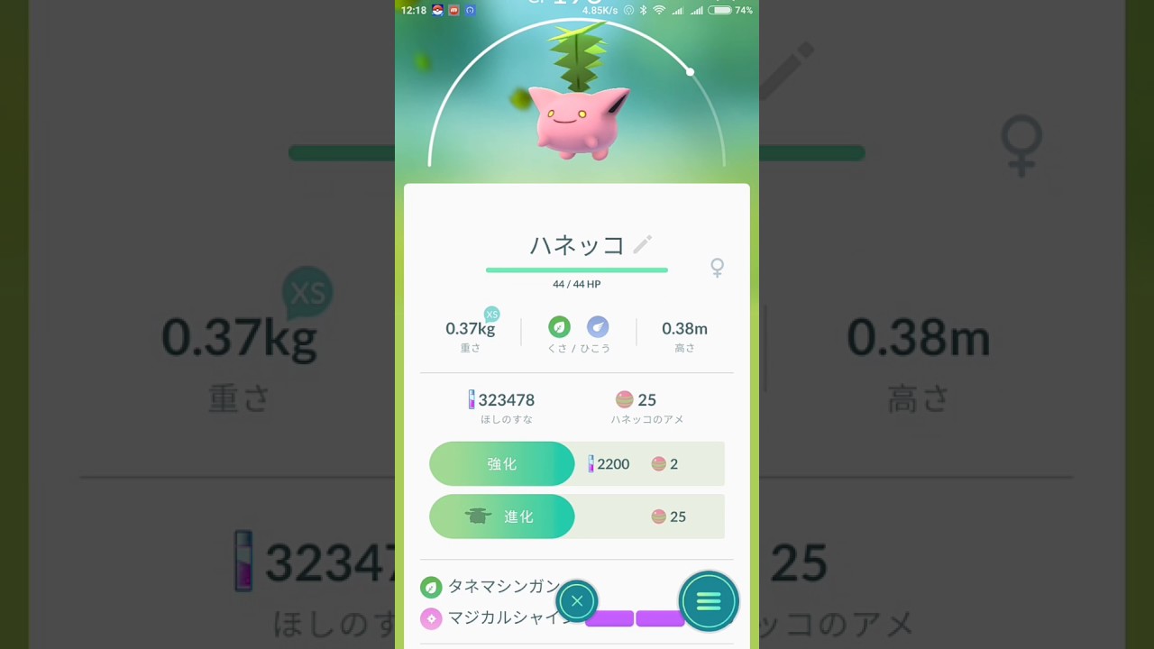 ハネッコ進化
