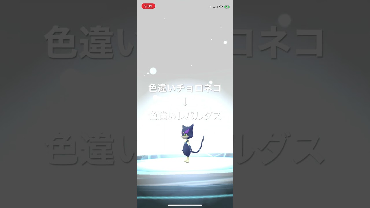 ポケモンGO 色違いチョロネコ出現！色違いレパルダスへ進化！ #pokémon #ポケットモンスター