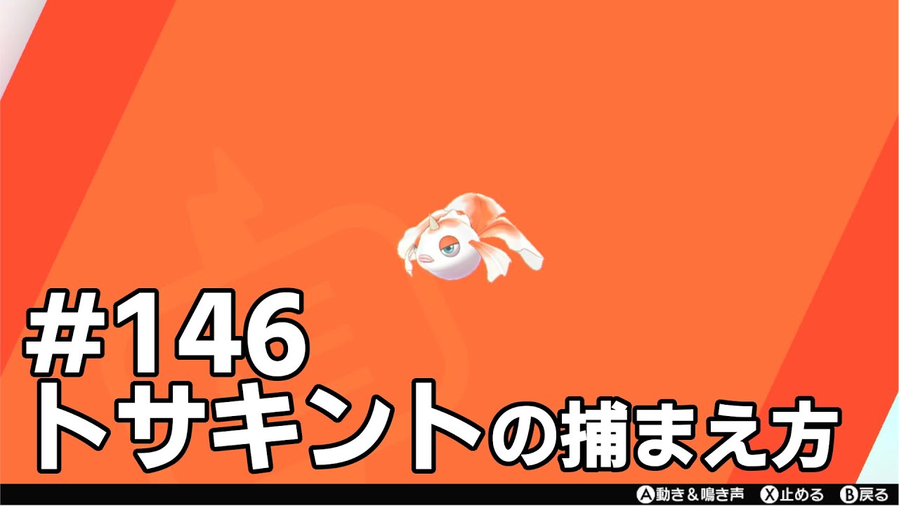 トサキントを探している方に見てほしい動画