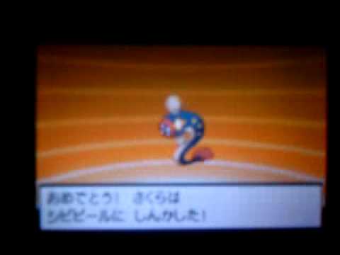 12.ポケットモンスター ホワイト シビシラスがシビビイルに進化。