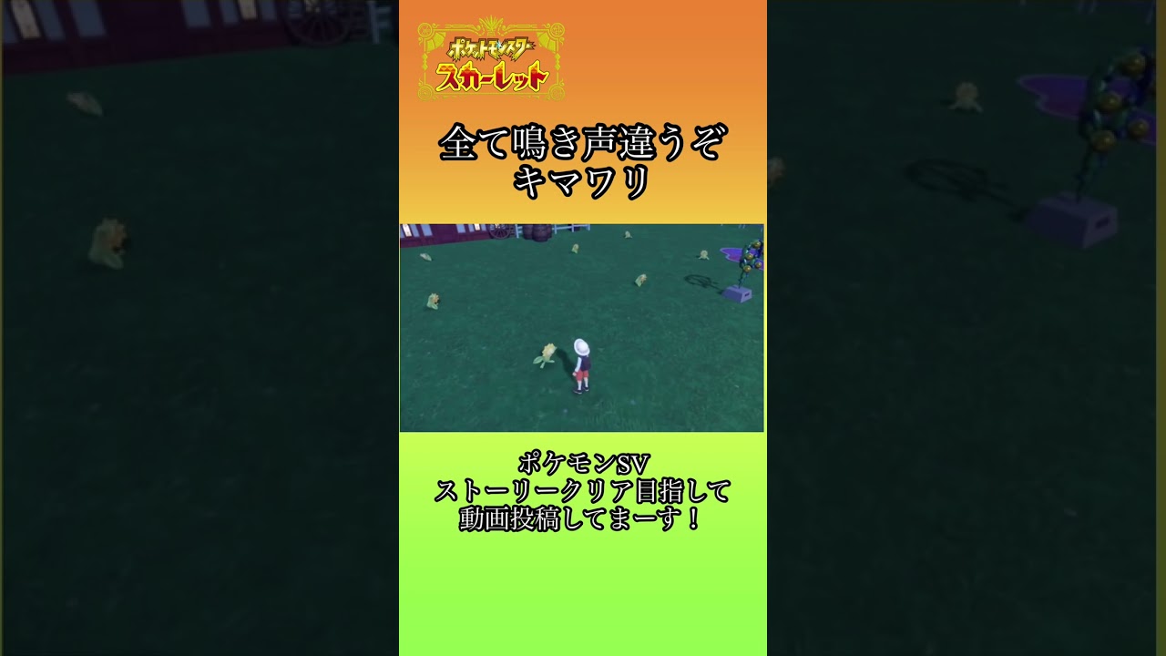 全て鳴き声違うぞ！キマワリ　#ポケモンスカーレット