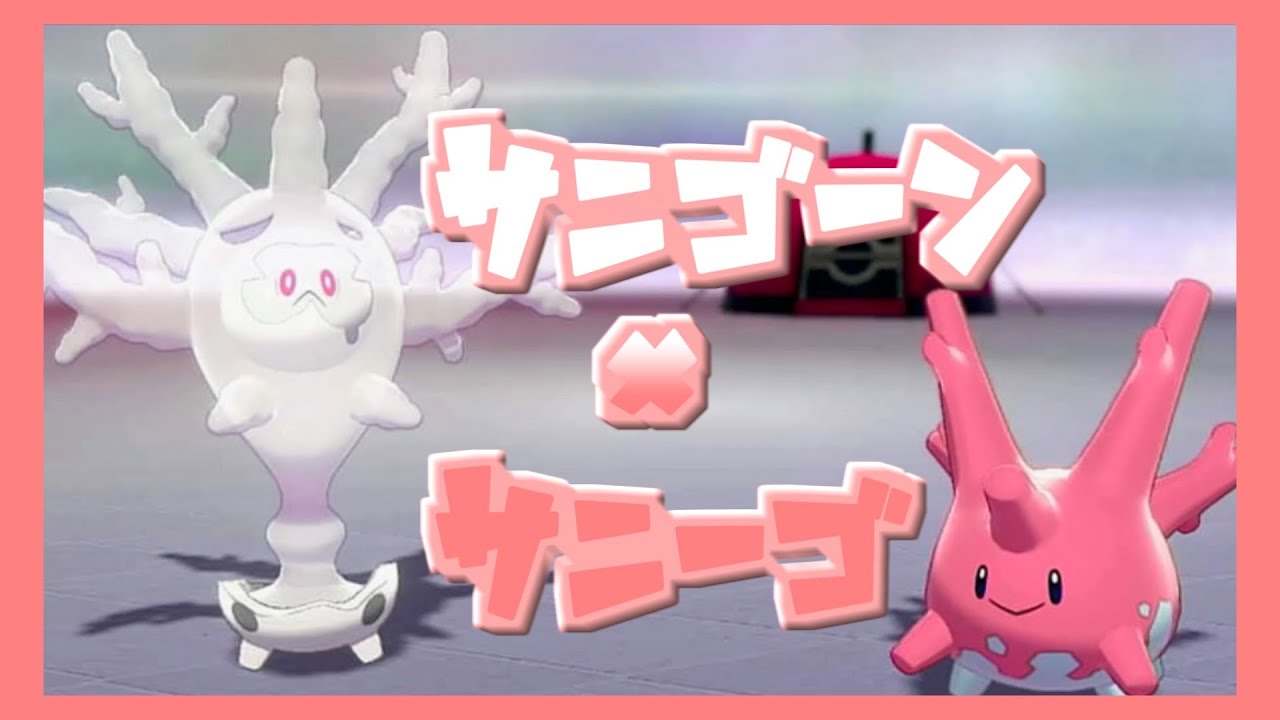 サニゴーン×サニーゴ 【ポケモン剣盾】
