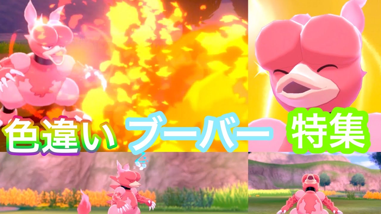 【ポケモンキャンプ#47】可愛い &かっこいい色違いブーバー特集♡