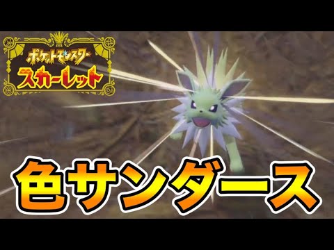色違いサンダースを出して発狂する男　【ポケモンSV】