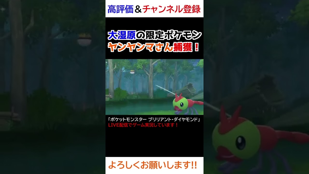 大湿原の限定ポケモン、ヤンヤンマさんをゲットｗｗｗ【ダイパリメイク】