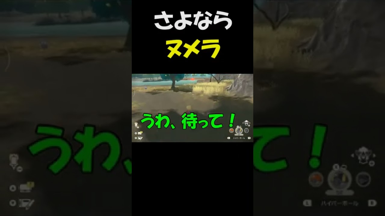 色違いヌメラを逃す沼実況者　レジェンズアルセウス